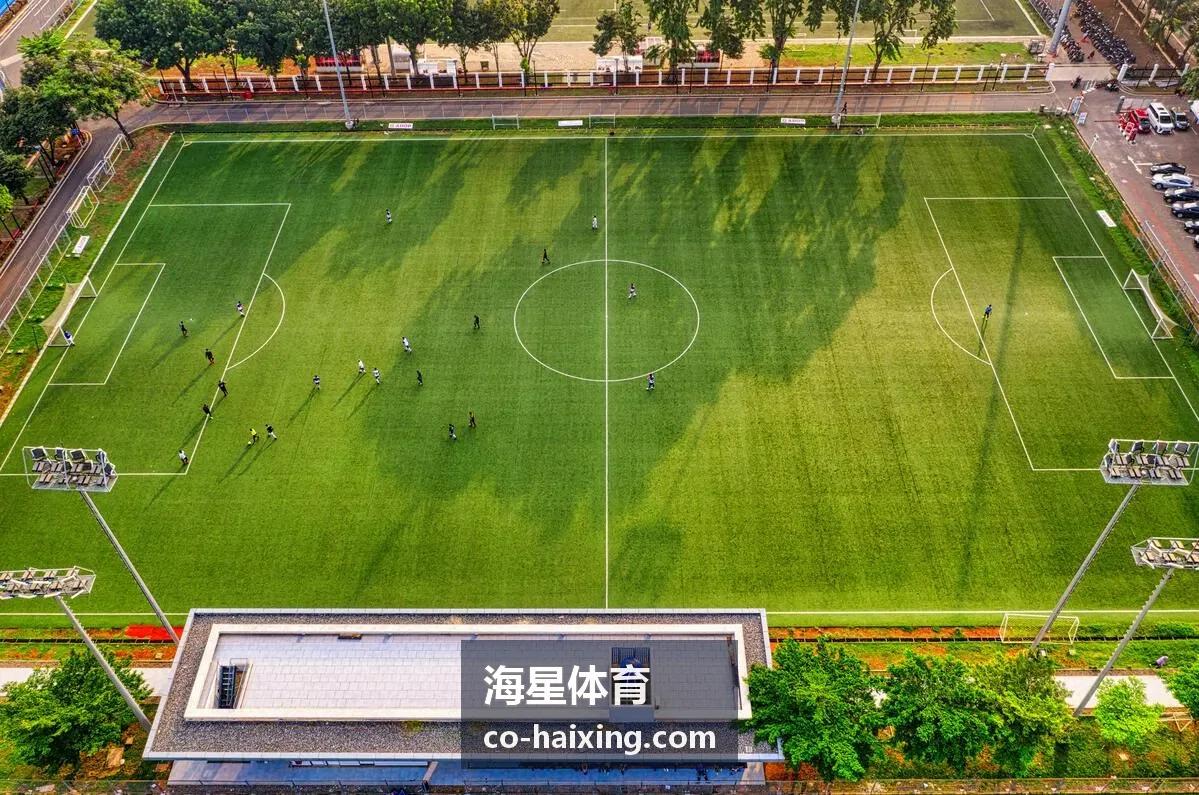 海星体育场馆座位区域示意图