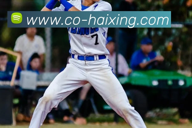 海星体育app下载品牌故事