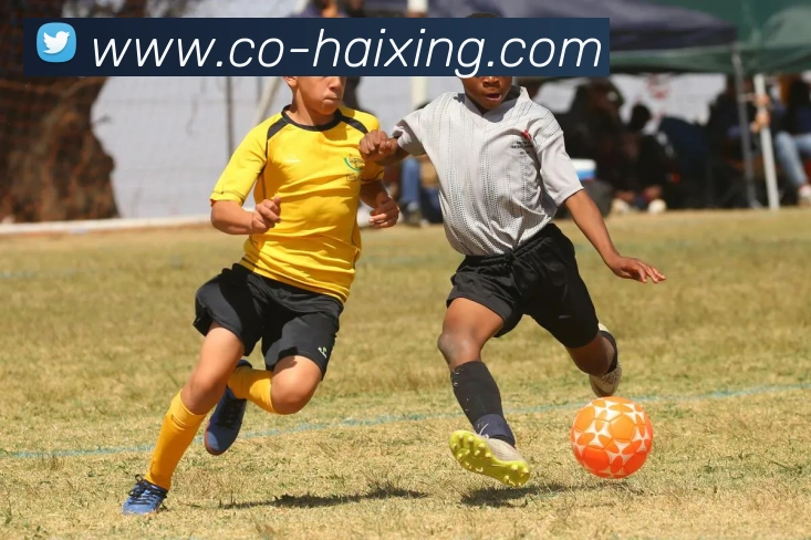 海星体育app下载APP 体育赛事宣传图